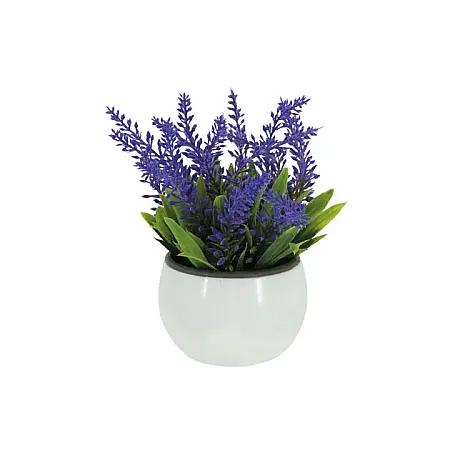 images/uploads/17200/thumb_19320 new.webp